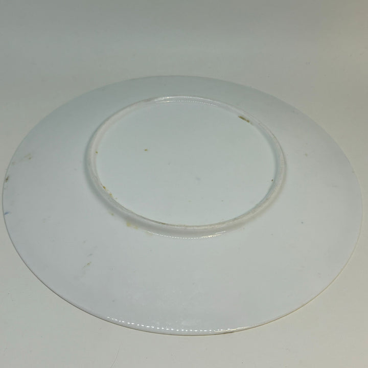 Vintage FLY and BUTTERFLY DISPLAY PLATE 9"