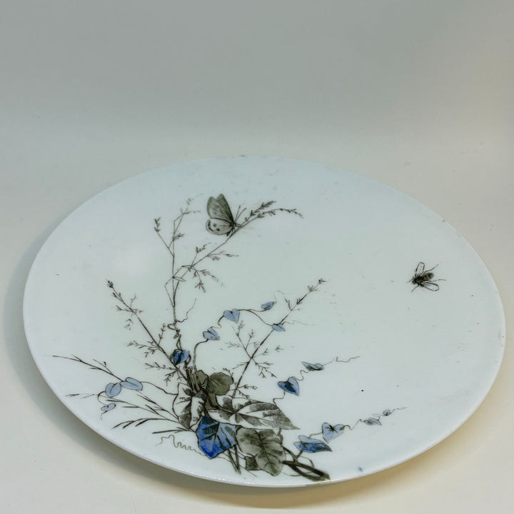 Vintage FLY and BUTTERFLY DISPLAY PLATE 9"
