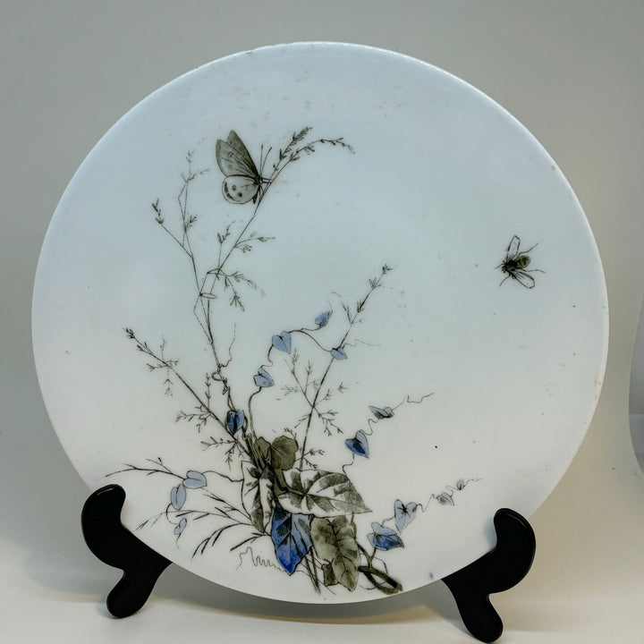 Vintage FLY and BUTTERFLY DISPLAY PLATE 9"