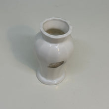 Load image into Gallery viewer, Vintage Collectable Aynsley Nature&#39;s Delights BUD VASE Fine English Bone China 3.25&quot;