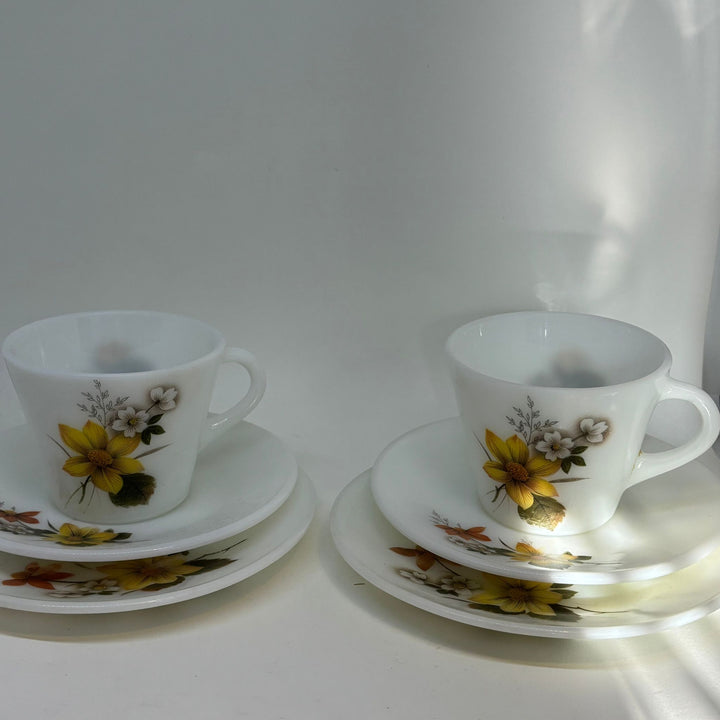 2 x Retro Vintage Autumn Glory Pyrex JAJ Tea Plate, Saucer and Tea Cup TRIOS