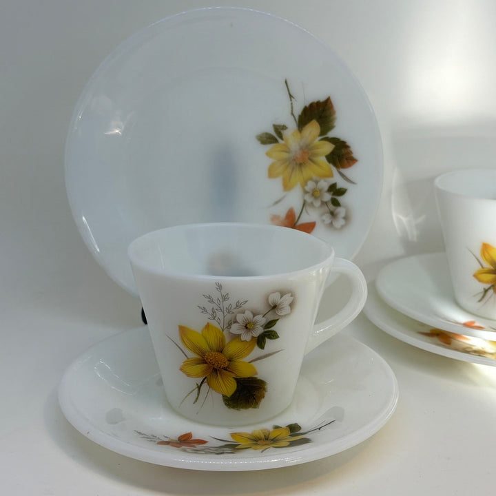 2 x Retro Vintage Autumn Glory Pyrex JAJ Tea Plate, Saucer and Tea Cup TRIOS