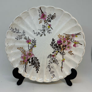 FRANZ ANTON MEHLEM Antique Victorian Botanical PLATE