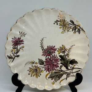 FRANZ ANTON MEHLEM Antique Victorian Botanical PLATE