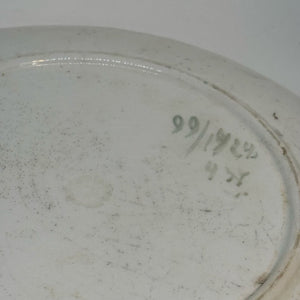 FRANZ ANTON MEHLEM Antique Victorian Botanical PLATE