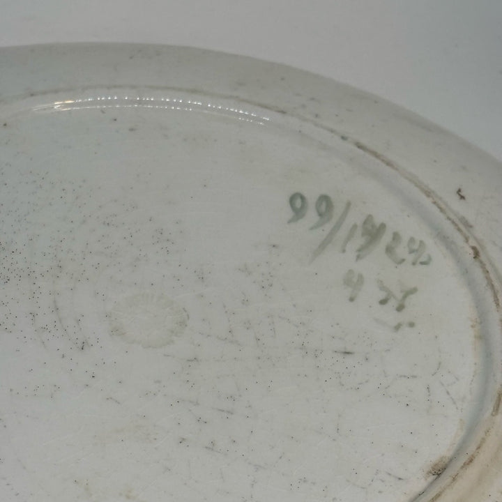 FRANZ ANTON MEHLEM Antique Victorian Botanical PLATE