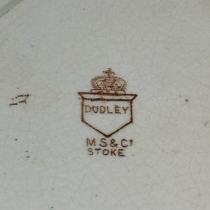 MYOTT SON & CO. Antique Victorian Botanical PLATE Dudley