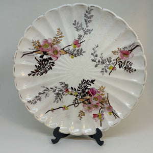 FRANZ ANTON MEHLEM Antique Victorian Botanical PLATE