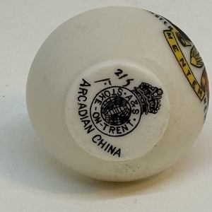 Vintage ARCADIAN CHINA Crested Ware Souvenir of STURMINSTER NEWTON