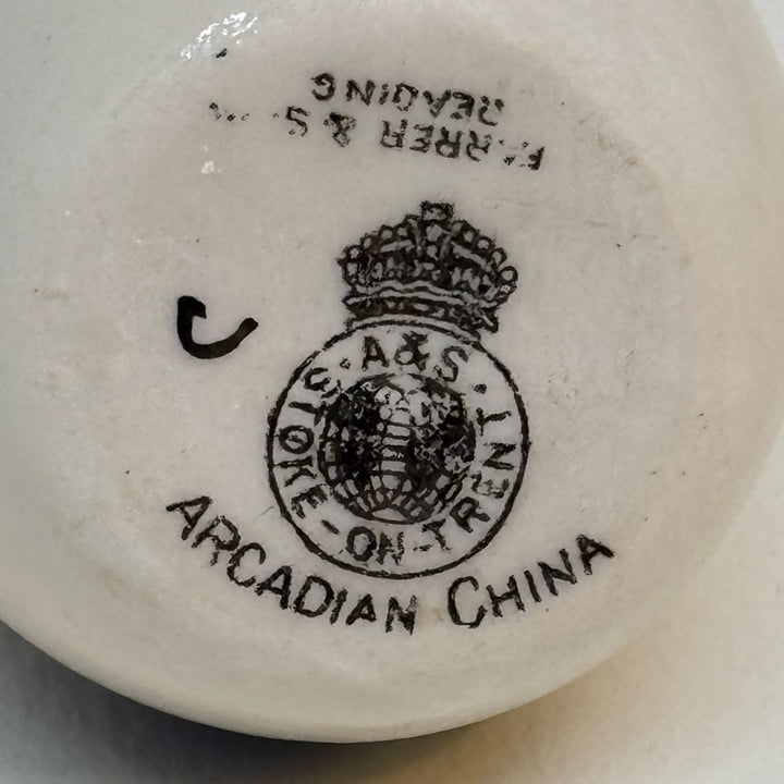 Vintage ARCADIAN CHINA Crested Ware Souvenir of READING