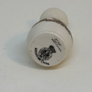 Vintage ARCADIAN CHINA Crested Ware Souvenir of BERWICK