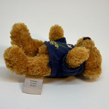 Load image into Gallery viewer, Posable Articulated Teddy Bear Souvenir of Guernsey