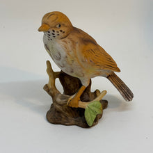 Load image into Gallery viewer, Vintage Hand Painted Mistle Thrush Bird Model Figurine