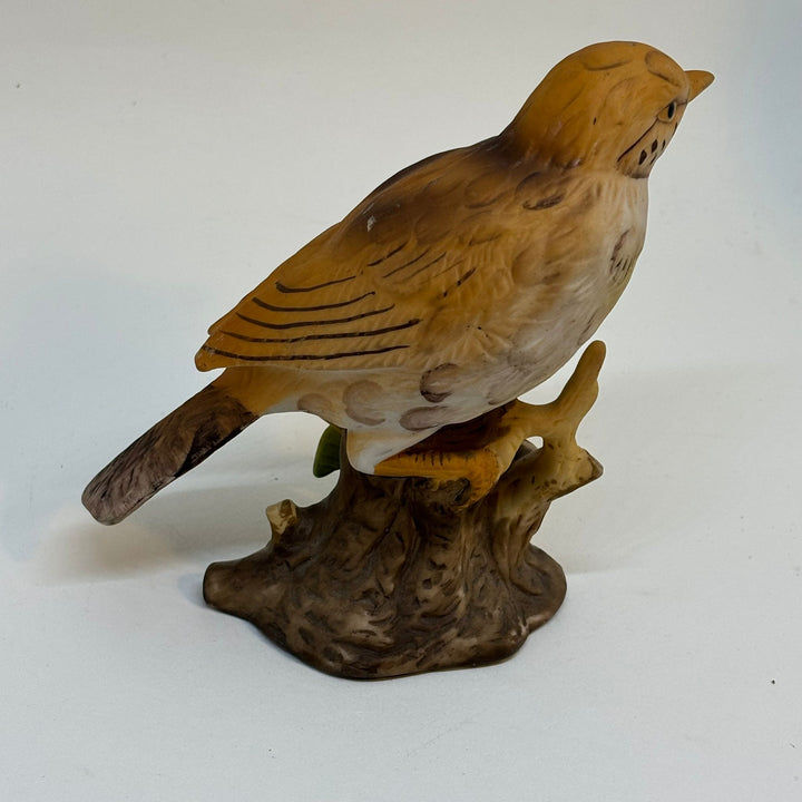 Vintage Hand Painted Mistle Thrush Bird Model Figurine