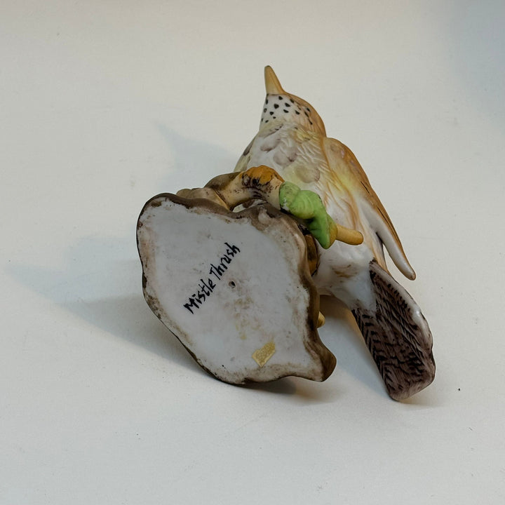 Vintage Hand Painted Mistle Thrush Bird Model Figurine