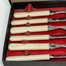 Load image into Gallery viewer, Boxed Set of Three Pairs of Vintage Fish Cutlery Chronium Plate