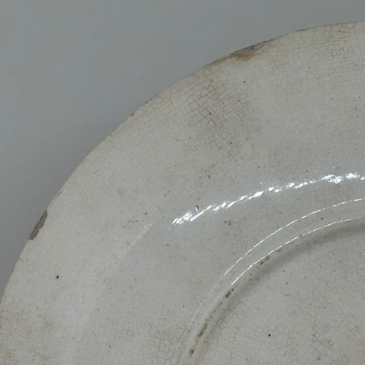 Antique S.F. & Co Imari Dinner Plate India