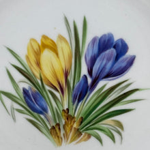Load image into Gallery viewer, Antique Minton Daffodil Hand Painted Plate 1861