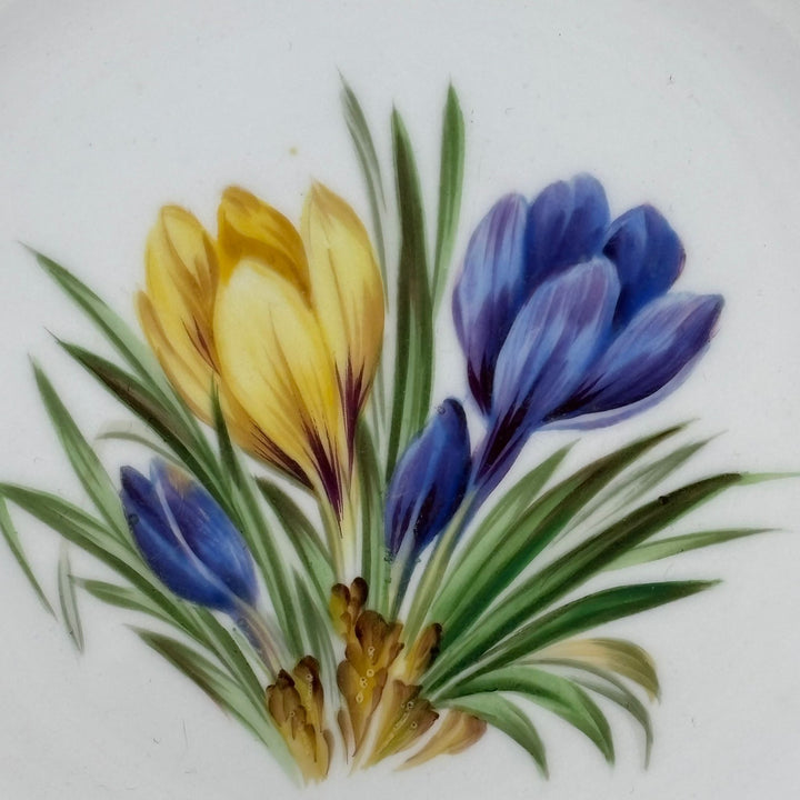 Antique Minton Daffodil Hand Painted Plate 1861
