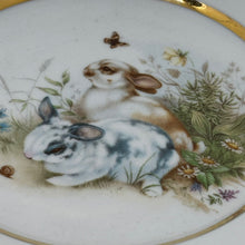 Load image into Gallery viewer, Vintage AJL Bone China Rabbit Plate 6.75"