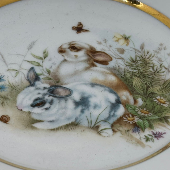 Vintage AJL Bone China Rabbit Plate 6.75"