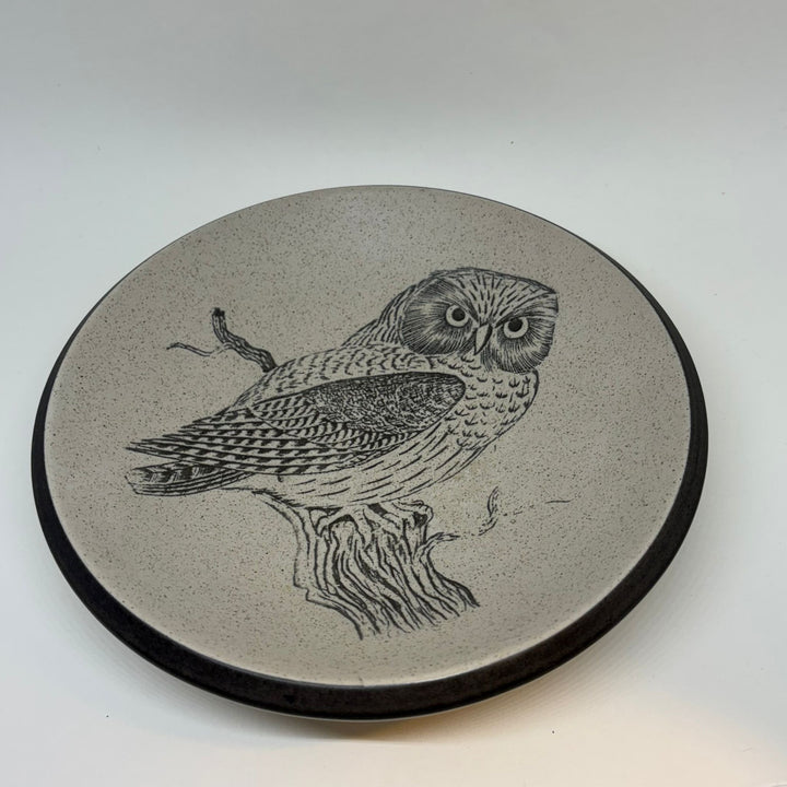Vintage Purbeck Pottery Owl Decorative Bowl
