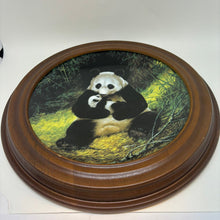 Load image into Gallery viewer, Vintage 'Last of Their Kind: The Endangered Species' Panda Framed Collector's Plate