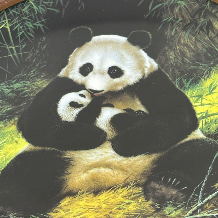 Vintage 'Last of Their Kind: The Endangered Species' Panda Framed Collector's Plate
