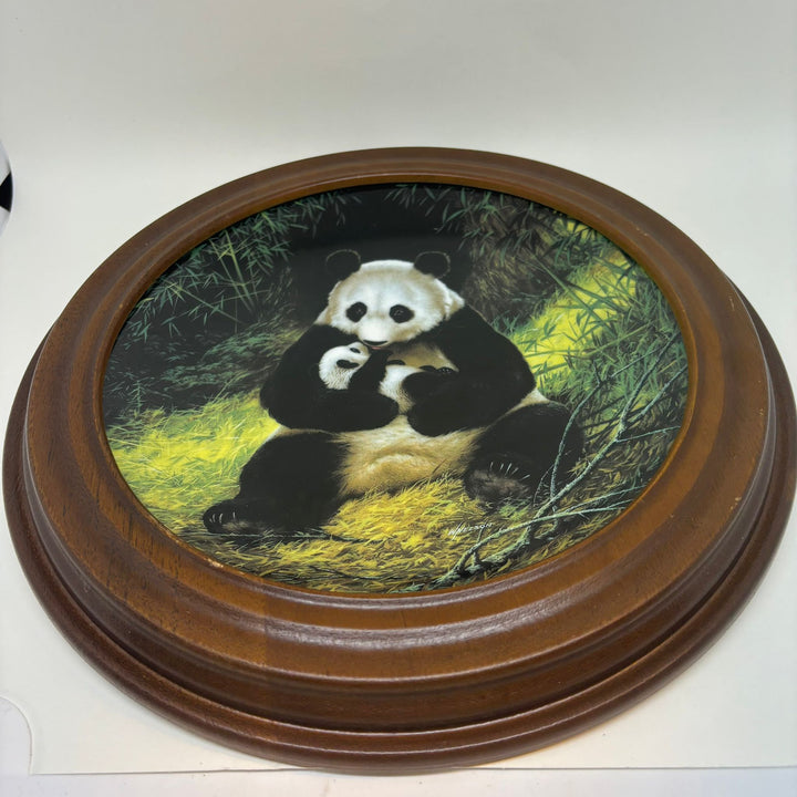 Vintage 'Last of Their Kind: The Endangered Species' Panda Framed Collector's Plate