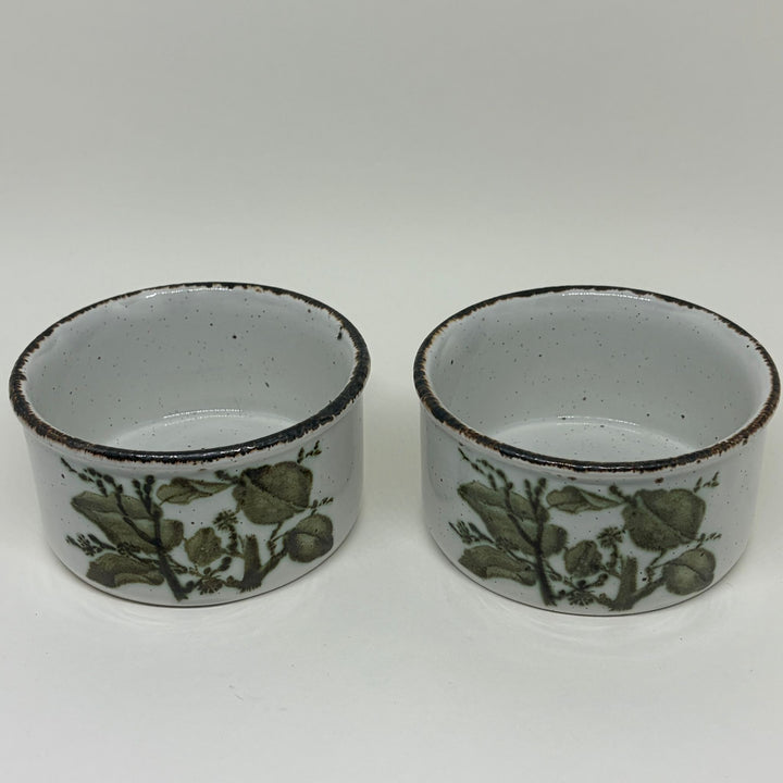 Pair of Vintage Tureens Midwinter Stonehenge Green Leaves