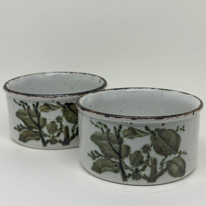Pair of Vintage Tureens Midwinter Stonehenge Green Leaves